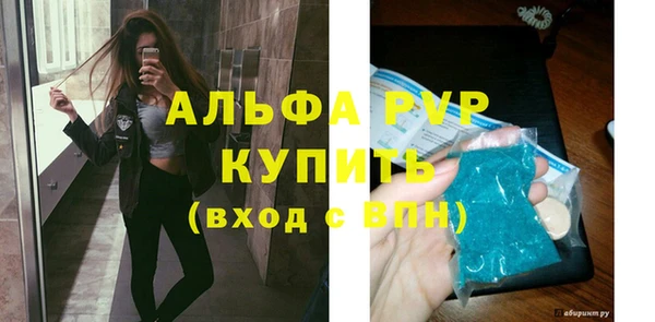 PSILOCYBIN Гусиноозёрск