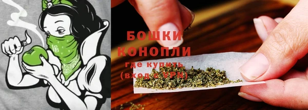 PSILOCYBIN Гусиноозёрск