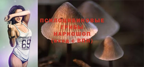 прущие крисы Гусев