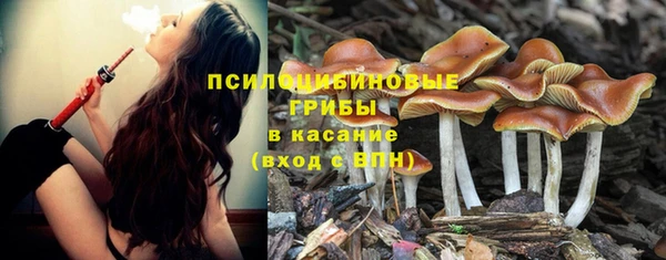 ГАЛЛЮЦИНОГЕННЫЕ ГРИБЫ Горнозаводск