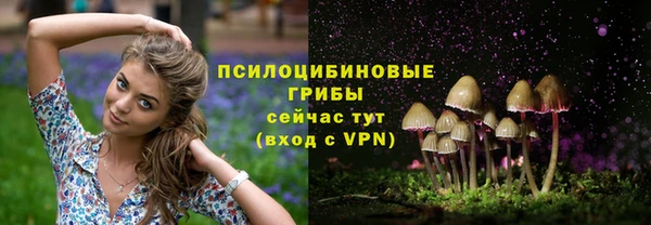прущие крисы Гусев